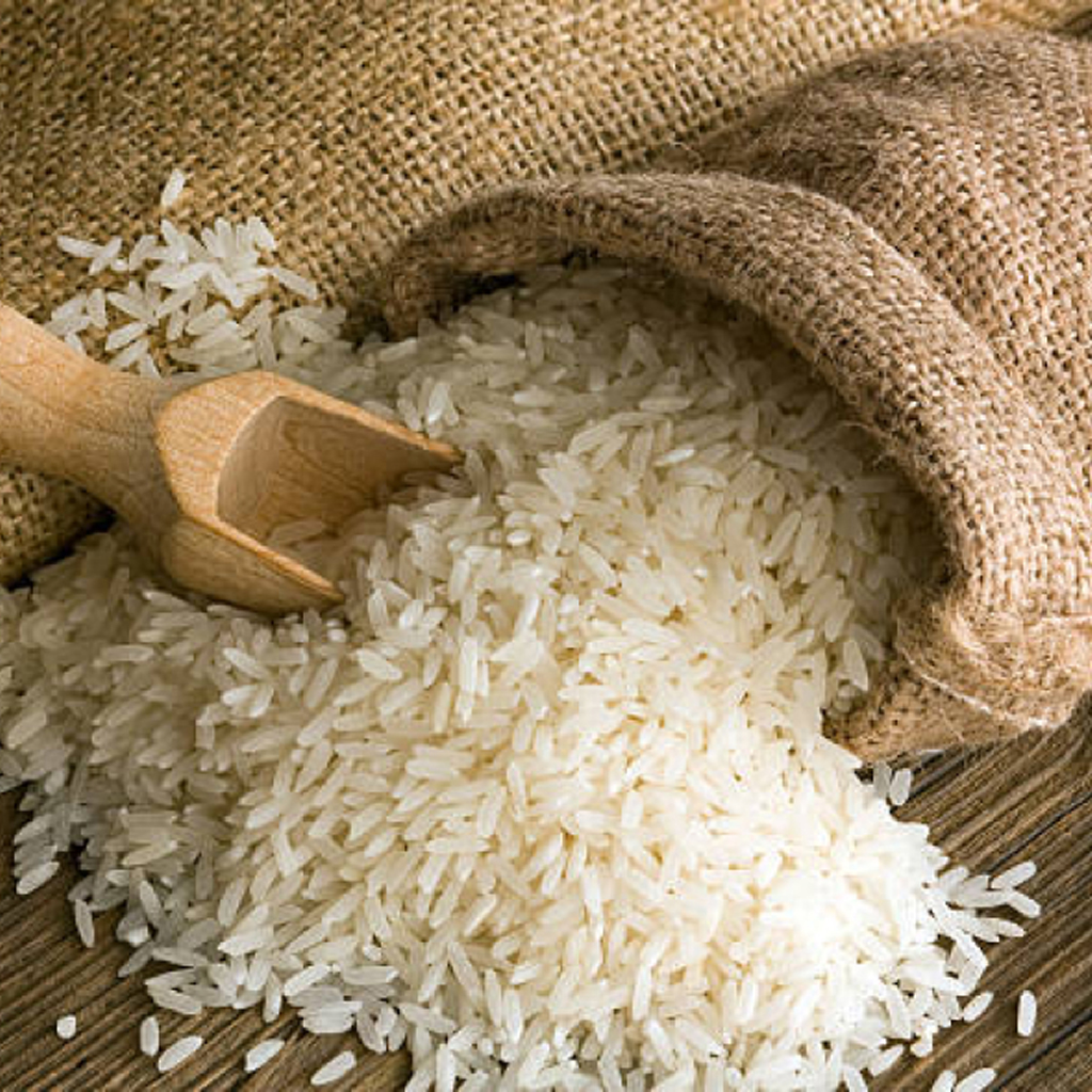 Freshly Cooked White Rice in a Bowl